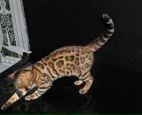 Фотография Плюсниной Елены