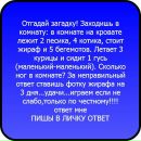 Діана Роса фотография #7 (источник - https://vk.com/id65331014)