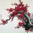 Фотография Астафьевой Евгении