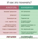 Марія Лапська фотография #2 (источник - https://vk.com/id101756466)