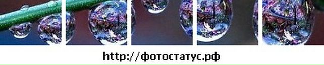 Богдана Форостян фотография #11 (источник - https://vk.com/id132615657)