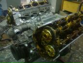 Діма Остапенко фотография #10 (источник - https://vk.com/id68087965)