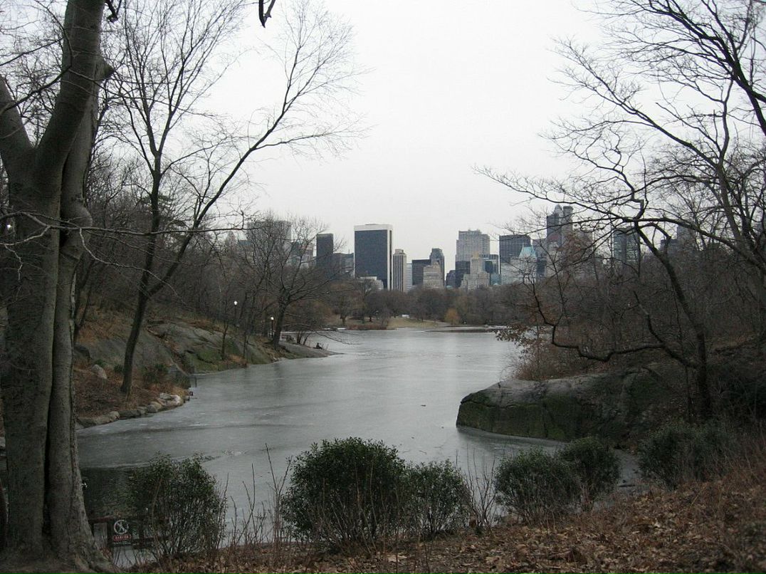 Виктор Авдеев фотография #44