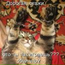 Андрій Косован фотография #9 (источник - https://vk.com/id90207354)
