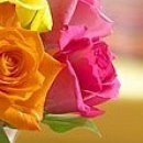 Саша Фаєвський фотография #4 (источник - https://vk.com/id57715861)