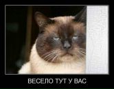 Сергій Корда фотография #49 (источник - https://vk.com/id141976133)
