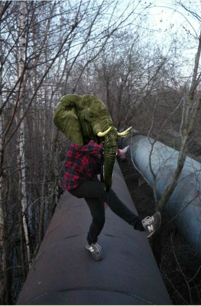 №7, Максим Шведов №7, Максим Шведов