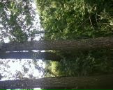 Вован Хемій фотография #22 (источник - https://vk.com/id127788465)