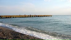 Фотография Чёрного Дениса