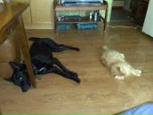 Фотография Борской Натальи