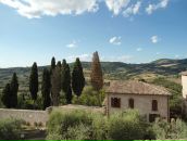 Dmitry Davidenko фотография #45 (источник - https://vk.com/id10142)