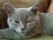 Фотография Кордюкова Александра