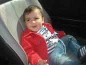 Фотография Габисонии Левана