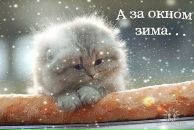 Фотография Александровой Елены