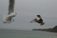 Фотография Пасынковой Натальи