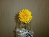 Фотография Николаенко Михаил