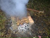 Іра Романюк фотография #8 (источник - https://vk.com/id53294041)