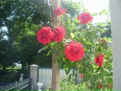 Адріан Чумаченко фотография #49 (источник - https://vk.com/id89854013)