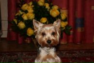 Марина Васильева фотография #28 (источник - https://vk.com/id2408840)