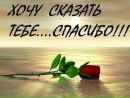 Тіна Кароль фотография #4 (источник - https://vk.com/id168345197)