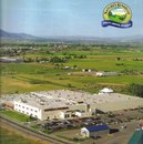 Ηина Κонстантинова фотография #23 (источник - https://vk.com/id166310390)