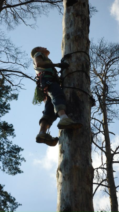 Dr Smile фотография #8