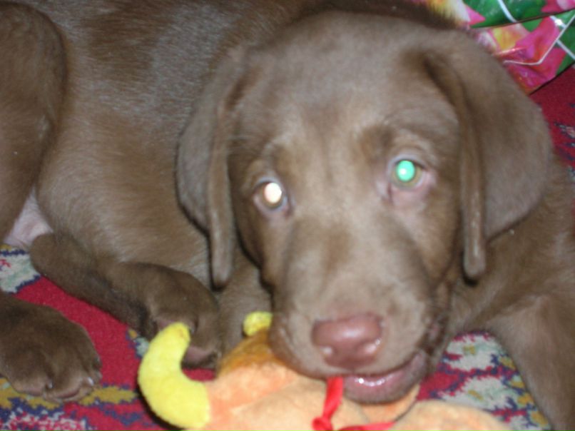 Виктор Тимофеев фото №30