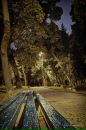 Станіслав Жеребецький фотография #5 (источник - https://vk.com/id161425340)