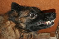 Фотография Na Kata