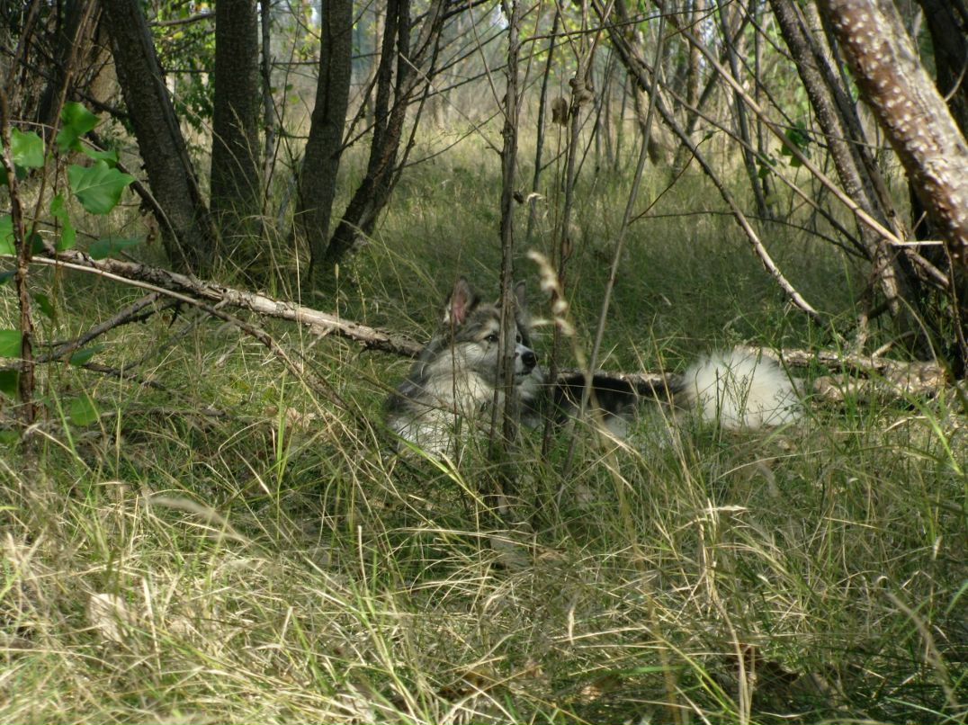 Надежда Басараб фотография #36