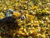 Вікусічка Січкоріз фотография #16 (источник - https://vk.com/id82463977)