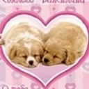 Карінка Фролова фотография #1