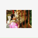 Фотография Kerimov Vadik