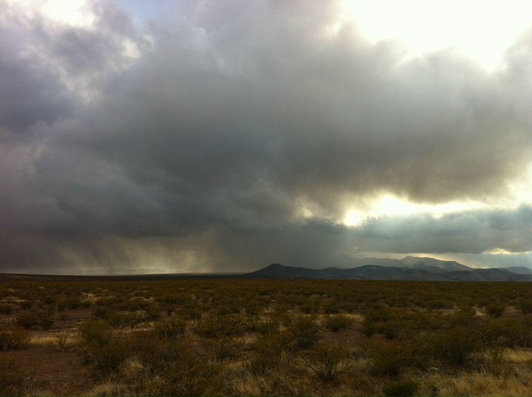 Игорь Булыгин фотография #15