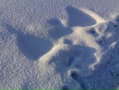 Фотография Рогач Татьяна