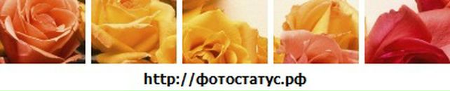 Олічка Сухацька фотография #25 (источник - https://vk.com/id74007955)