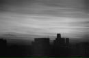 Фотография Ли Кэт