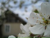 Іванна Капіца фотография #43 (источник - https://vk.com/id12073003)