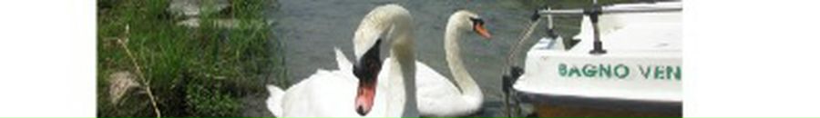 Никита Балахтар фотография #28 (источник - https://vk.com/id93155332)