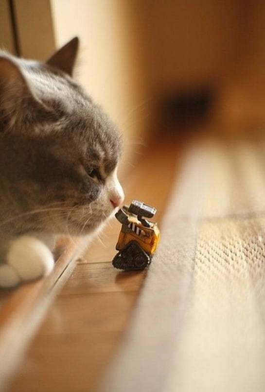 Дмитрий Авадень фотография #9