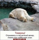 Максим Іванов фотография #46 (источник - https://vk.com/id111087992)