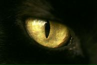 Фотография Иванова Юрца