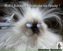 Ліля Петренко фотография #27 (источник - https://vk.com/id117975899)