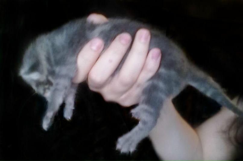 Ma Ri фотография #7