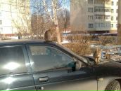 Максим Цигвинцев фотография #9 (источник - https://vk.com/id3549339)