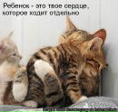 Фотография Трефиловой Татьяны