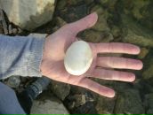 Фотография Самусевой Евгении