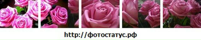 Оля Кучіра фотография #23 (источник - https://vk.com/id150984117)