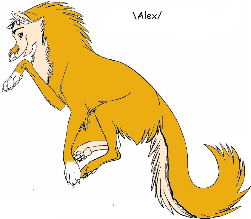 Tramp Dog фотография #1