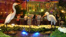 Lena Polushvedkina фотография #44 (источник - https://vk.com/id11224787)